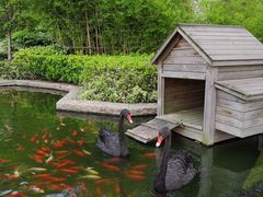 -南京圣和府邸豪华精选酒店