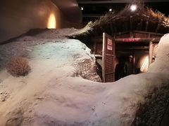 -嘉峪关城市博物馆