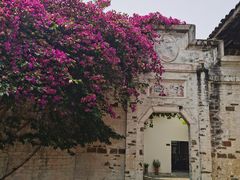 -金谷域澳洲庄园