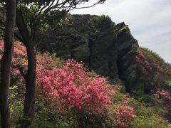 -木兰云雾山