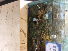 旺顺阁海鲜广场-旺顺阁海鲜广场(亚运村店)
