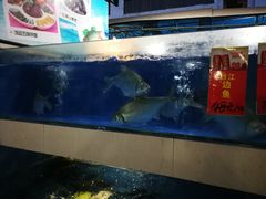 水产区-荣华酒楼(鼎湖区店)