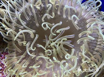 像小学生一样逛自然博物馆