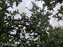 -云南滇池花园国际大酒店温泉