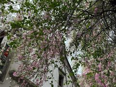 -深圳国际园林花卉博览园