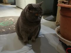-小时光咖啡馆(开森度假森林店)