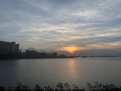 -万绿园