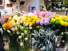 -Wagas沃歌斯(大学路店)