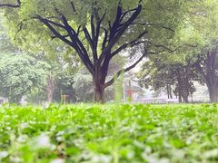 -堤角公园