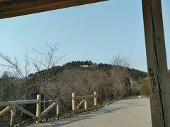 -水池山公园