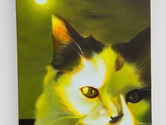 -胶囊画廊