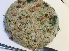 -菩提树·素食餐厅(汇智国际商业中心店)