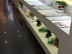 -南航明珠v2头等舱公务舱休息室