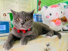 -百信宠物医院(东升街店)