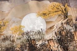 点击看大图 -上海雅居乐万豪侯爵酒店·宴会厅