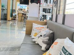 -pd派德宠物中心医院24H急重症·眼科中心·血液透析中心(嵩山北路店)