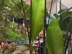 -大书房咖啡(中传国交店)