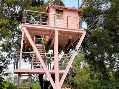 -福建鲤鱼洲酒店