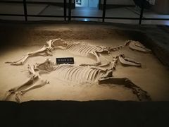 -洛阳周王城天子驾六博物馆