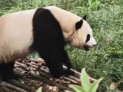 -西安秦岭野生动物园