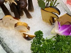 -喜聚薈·花膠雞海鮮火鍋(越秀店)