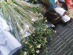 -溪岸路花鸟市场