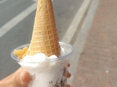 -单家老院·院子里的青岛菜(沙子口店)