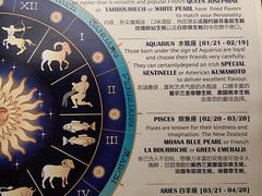 -普朗姆生蚝吧(原建国路店)