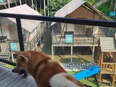 -北京山里寒舍度假酒店