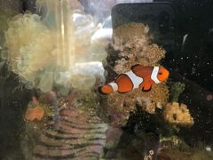 -平行世界·猫咖(首经贸店)