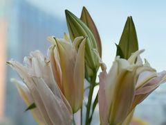 -左庭右院鲜牛肉火锅(七宝领展广场店)