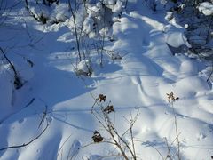 -雪谷