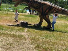 -武清南湖绿博园