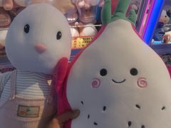 -PAWTOY爪e玩偶店(天兴罗斯福店)