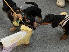 -龙湖杭州滨江天街
