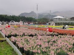 -盈香心动乐园