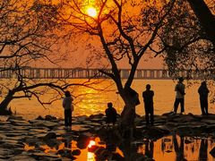 -宝安西湾红树林湿地公园