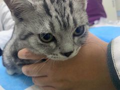 -中农国际动物医院24小时·猫科·骨科·急重症中心