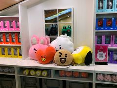 -line friends(明洞旗舰店)