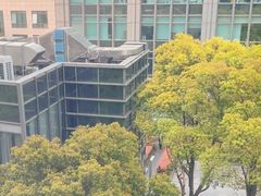 -智课教育国际高中备考托福雅思SATIB A-level AP国际课程中心(静安校区)