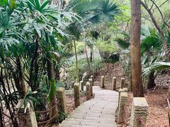 -深圳国际园林花卉博览园