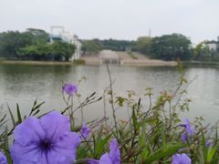 -东莞植物园