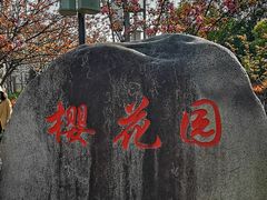 -高东镇樱花园