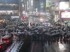 -涩谷区