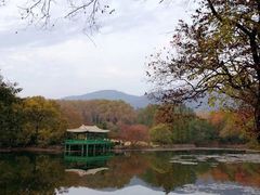 -灵谷景区