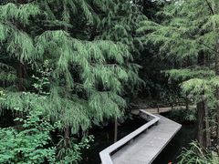 -广州兰圃