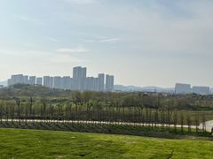 -贡湖湾湿地公园