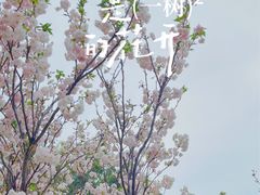 -观澜湖生态运动公社