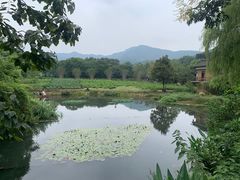 -中国茶叶博物馆(双峰馆区)