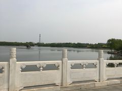 -大兴滨河森林公园